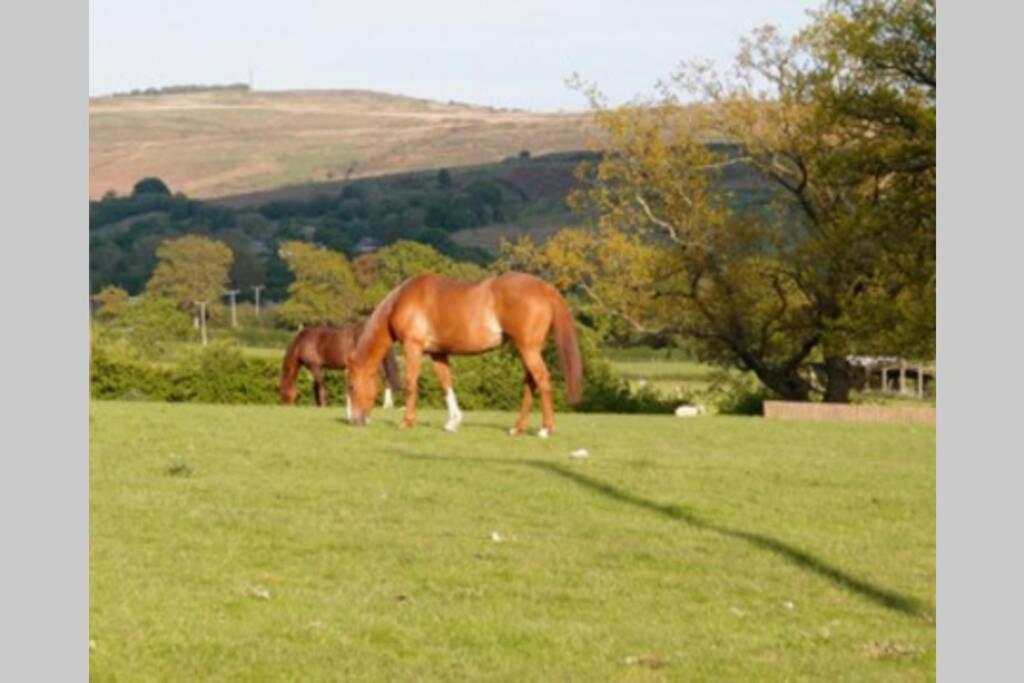 Upper Heath Farm - Stable Cottage Craven Arms Buitenkant foto